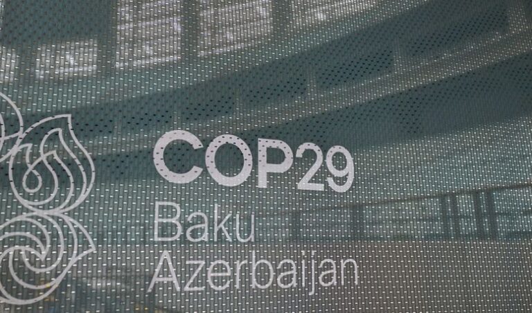 COP29 — Nothing but False Solutions and Empty Promises