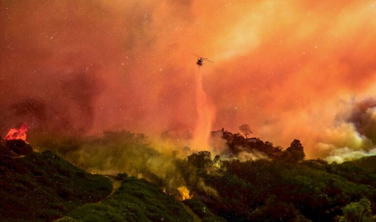 Los Angeles Wildfires