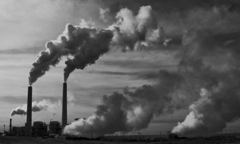 Capitalism’s Ecological Chasm